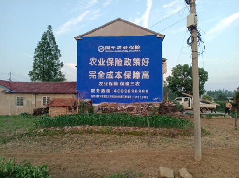 道真墙体广告的优劣势你知道吗？